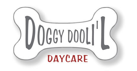 Doggy DooLil Daycare and O